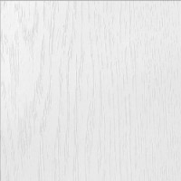 Беловежский дуб 