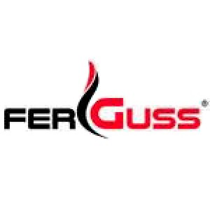 Каминные топки и печи Ferguss