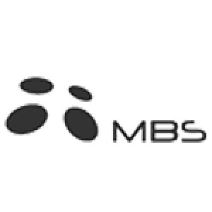 Каминные топки и печи MBS