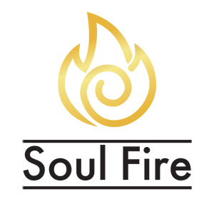 Биокамины и электрокамины Soul Fire