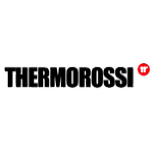 Печи камины и топки Thermorossi