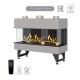 Каминная трехсторонняя топка на газу Airtone Gassi 1000 с дровами