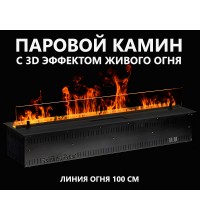 Электрокамин Schones Feuer 3D FireLine 1000 Base (паровой очаг)