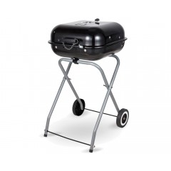 Угольный гриль Start-Grill Cube